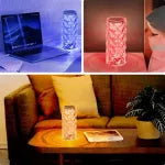 Bloom Crystal LED Lamp